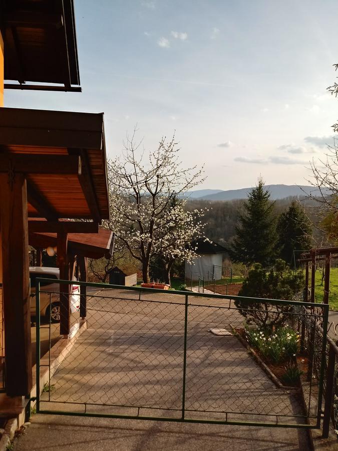 Vinica Bed&Breakfast Zilje المظهر الخارجي الصورة